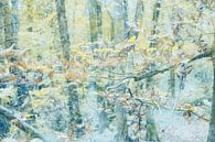 Fine-art fotoschilderij van tak met herfstbladeren van Marianne van der Zee thumbnail