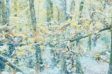Photo fine-art peinture de branche avec des feuilles d'automne