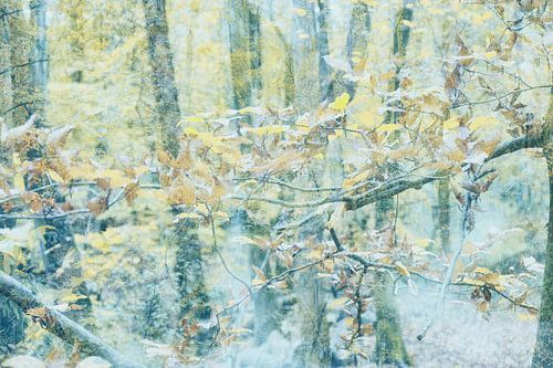 Fine-art photo painting of branch with autumn leaves
