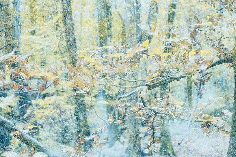 Fine-art fotoschilderij van tak met herfstbladeren van Marianne van der Zee