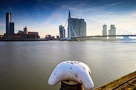 modern architecture at Kop van Zuid  by gaps photography