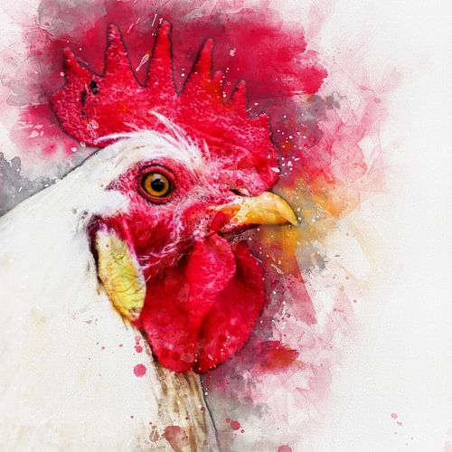 Portrait d'un coq (aquarelle, rouge et blanc)