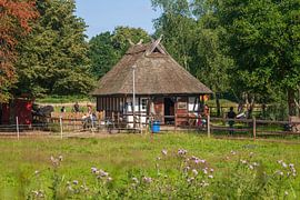 Stable in the Pauliner Marsch, Bremen, Germany