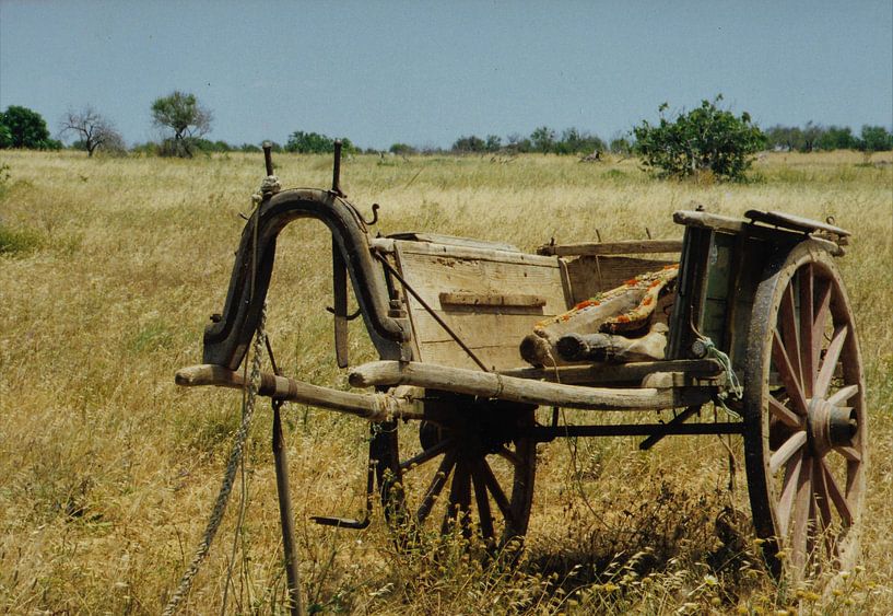 Country life in Portugal. by Ineke de Rijk