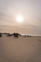 dunes coast