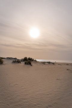 duinen kust van Fotografie-Broenink