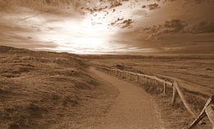 Fußweg ( Texel ) in Sepia