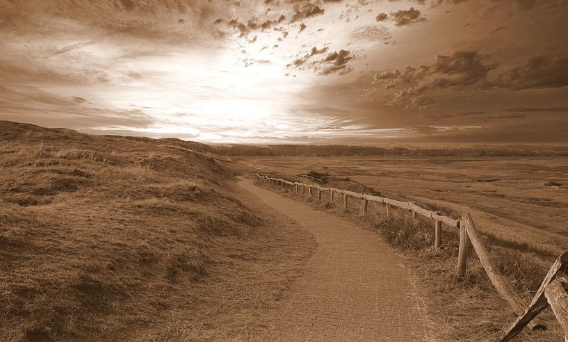 Footpath ( Texel ) in sepia by Jose Lok