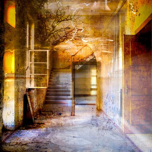 Room for Thought