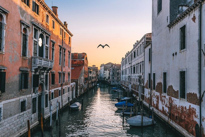 Venice by Hello Pompoyo
