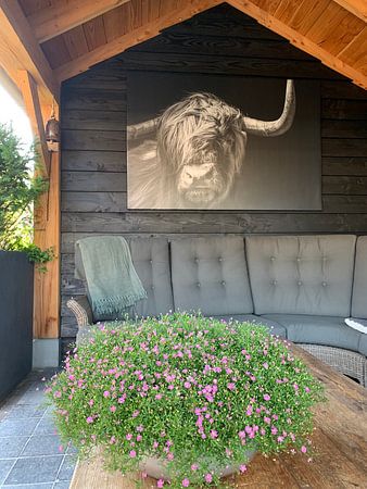 Comment allez-vous ?