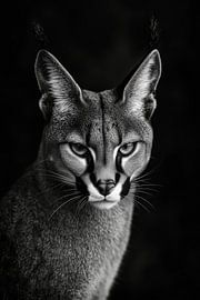 Serval by Poster Art Shop