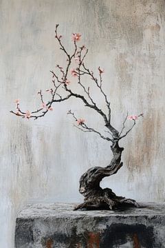 Speciale oude houten bonsai met amandelbloesem in stilleven. van Digitale Schilderijen