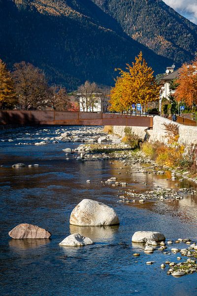 Autumn Colours by Teddy Dako
