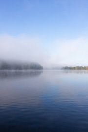 Le brouillard matinal est dissipé par le soleil