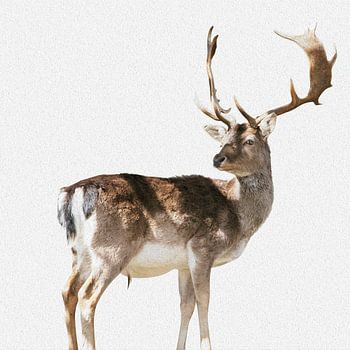 Hirsch (Foto mit Ölfarbenoptik)