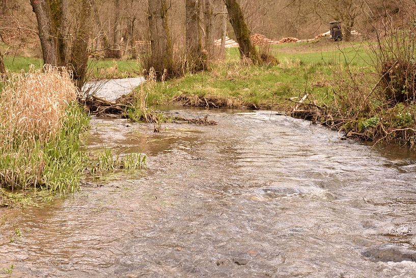 Course of the stream through meadows and trees by Philipp Klassen
