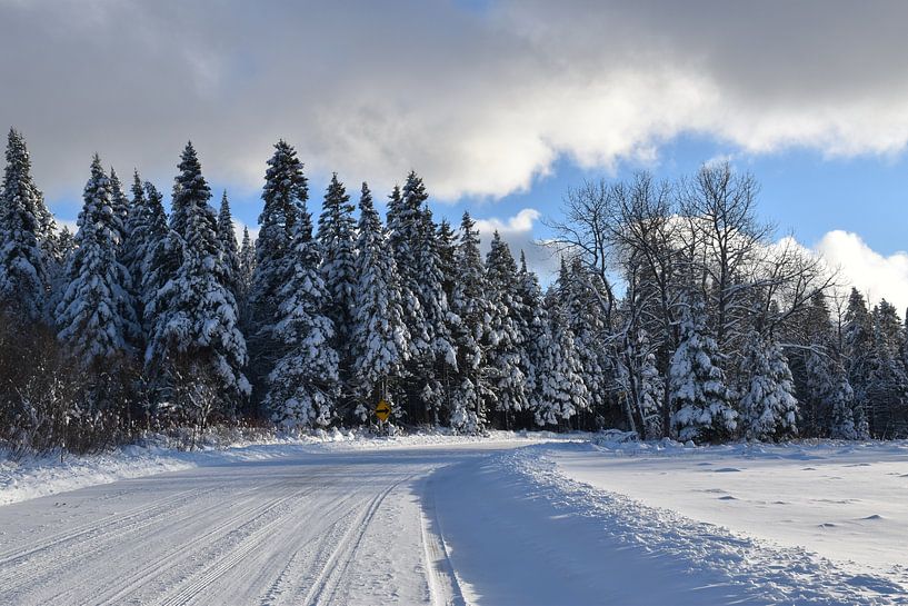 Die nördliche Gradierstraße im Winter von Claude Laprise