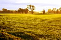 Platteland landschap bij opkomende zon