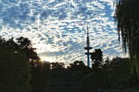 Zonsondergang over Planten un Blomen