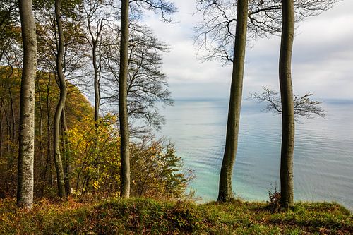 Die Ostseeküste auf der Insel Rügen im Herbst