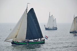 There's a lot of them by Frank's Awesome Travels