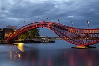 Amsterdamer Python-Brücke von Arno Prijs Miniaturansicht