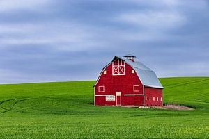 Grenier rouge dans la région de Palouse, États-Unis