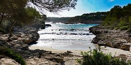 Modragon Nationaal Park III van Andreas Wemmje