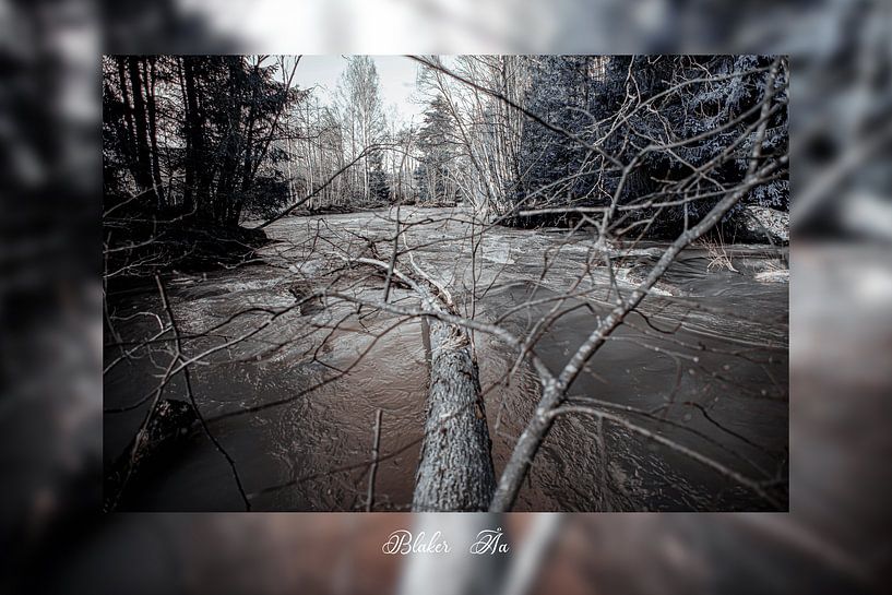 Blaker Bach par mario proeter