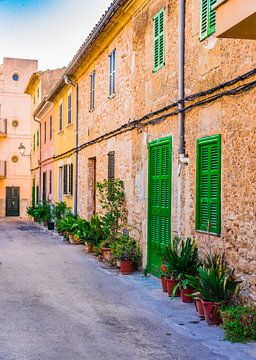 Straat in het historische centrum van Alcudia op het eiland Mallorca, Spanje van Alex Winter
