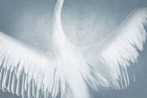 Hemelse Beweging Vleugels in IJzig Blauw