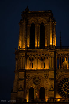 Paris - Notre Dame bei Nacht