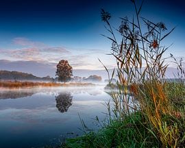 A simple sunday morning scene von Ruud Peters