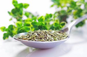 Kitchen herbs fresh oregano