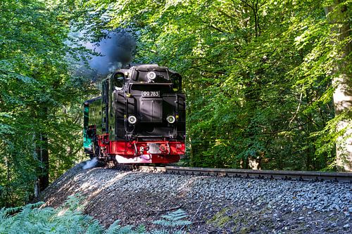 Een blik op de Racing Roland