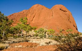 Kata Tjuta by Pieter van der Zweep