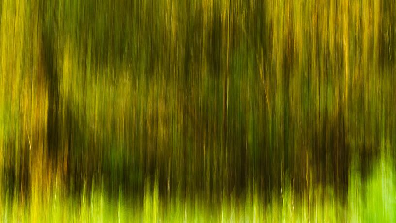 Natural shades of green (ICM photo, abstract) by Fotografie Jeronimo