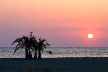 Palme am Meeresstrand im Sonnenaufgang