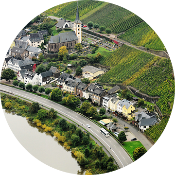 View of the wine village Bremm on Moselle van Gisela Scheffbuch