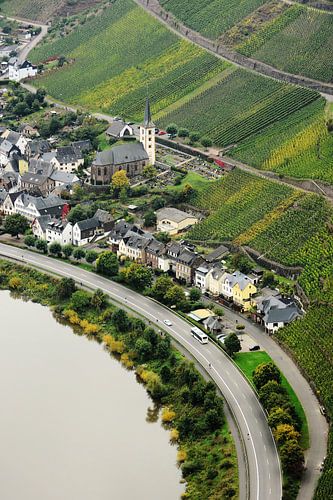 Blick auf das Weindorf Bremm an der Mosel sur Gisela Scheffbuch