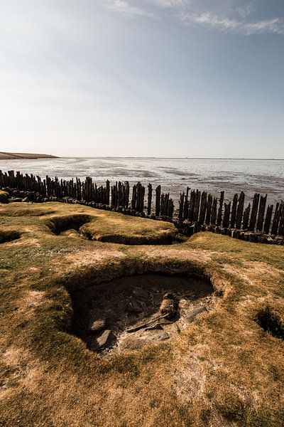 De praam van Moddergat par Anna Groenia