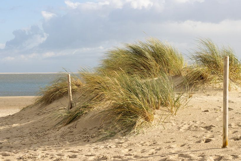 Grass dunes of Texel by Marco Leeggangers