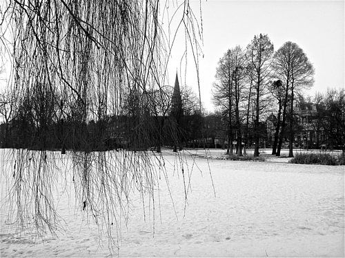Amsterdam / winter in Vondelpark