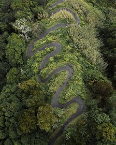 Wanderweg auf São Miguel
