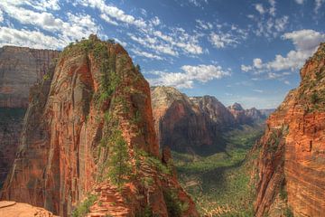 Angels Landing van Nico Olsthoorn