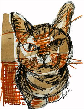 Katzenskizze II von Liesbeth Serlie