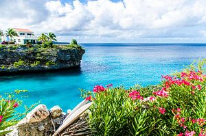 The Colors of Lagun