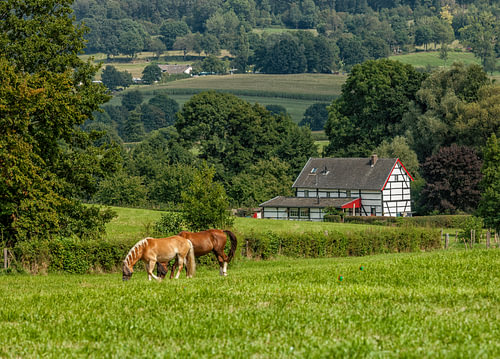 Fachwerkhäuschen in Südlimburg von John Kreukniet