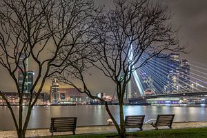 Ein anderer Blick auf die Skyline von Roterdam